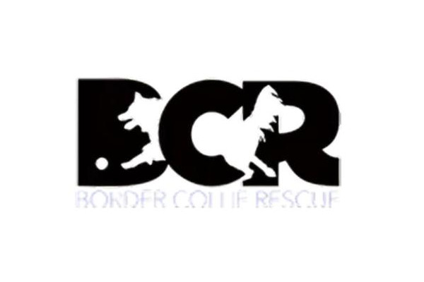 bcr-sponsor